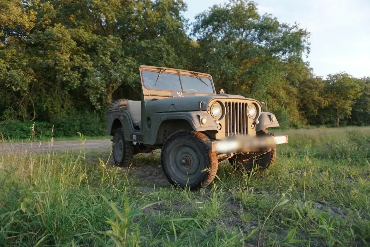 There should be an image here...